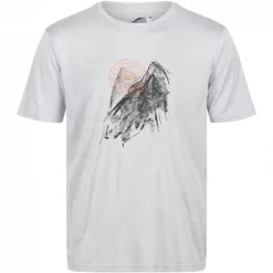 Sortie ✔️ Textile T-shirt Regatta Fingal VI Gris 😍